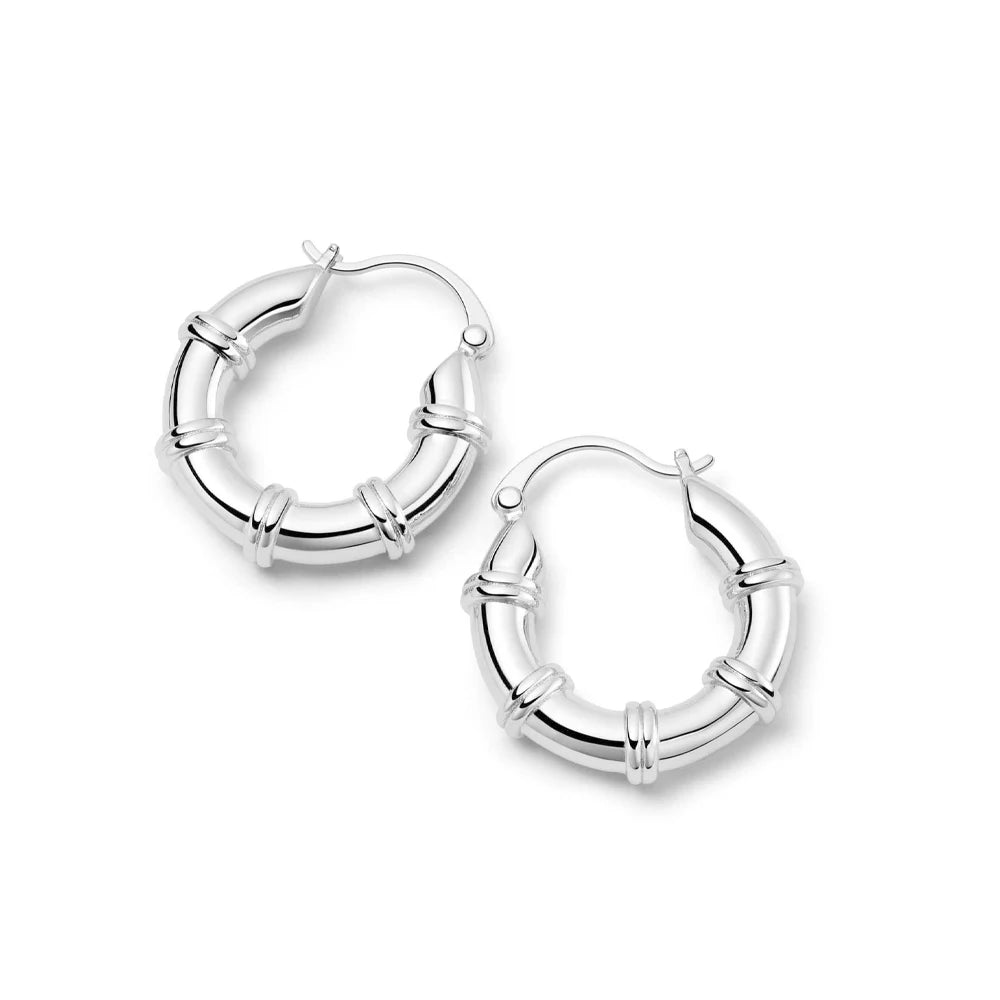 Luna Bold Round Huggies Earrings.
